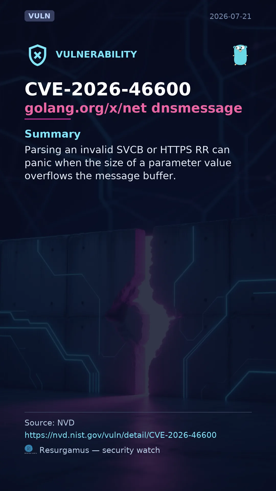 CVE-2026-46600 golang.org/x/net dnsmessage Vulnerability